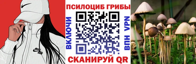 Галлюциногенные грибы Magic Shrooms  Черняховск 