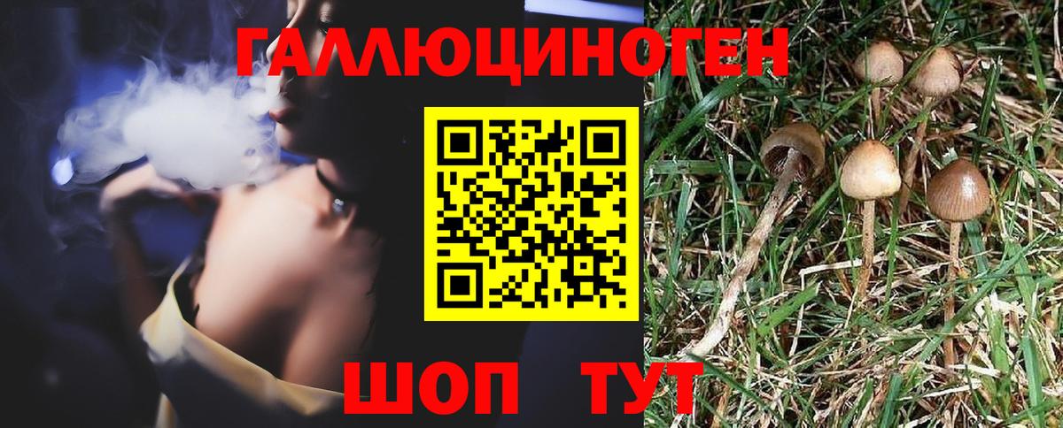 Псилоцибиновые грибы мухоморы  Вход с VPN  Черняховск 